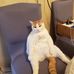 Sarah Mcclain - Facebook