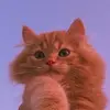 Sarah McClain - @theboysarethebestnocap - TikTok