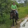 Sarah McIlveen - @sarah.mc99 - TikTok
