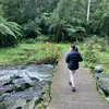 sarah_mcfarlane - @_sarahmcfarlane_ - TikTok