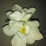 Sarah Mcmillin - @smcmillinn - Instagram