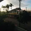 Sarah_mcphail11 - @baddies_537 - TikTok