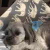 Sarah McPhee - @smcphee15 - TikTok