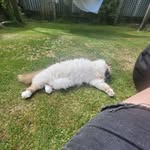 Sarah-Jane McQuade - @sarahjanemcquade43 - Instagram