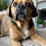 Sarah McQuade - @sarah.mcquade.9 - Instagram