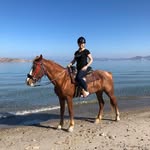 Sarah McQuade - @sarah.mcquade.71 - Instagram