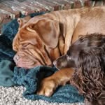 Sarah Mcquade - @sarah.mcquade.731 - Instagram