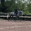 Sar - @sarahmcsweeney_ - TikTok