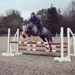 Sarah Mc Sweeney - @sarahmcsweeney_ - Instagram