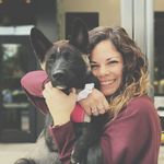Sarah McSweeney - @luna_lovegood_the_akita - Instagram