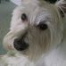 Sarah McVicker - Facebook
