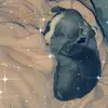 sarah Mears - @fur_mama_1 - TikTok