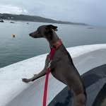 Sarah Mercer Smith - @meecer.sarah - Instagram
