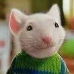 Sara Mestas Dávila - @mestasdavila - Instagram