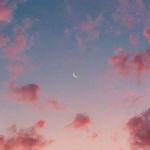 @_sarahmichaelson - Instagram