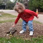Sarah Mickel - @s.n.mickel - Instagram