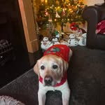 Sarah Middlemiss - @sarah_middlemiss14 - Instagram