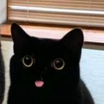 Hi_ronalee - @sarah__miracle - Instagram