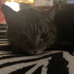 Sarah - @sarah.mires7 - Instagram