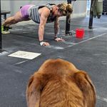 Sarah Mitzel - @smitzel108 - Instagram