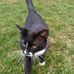 Sarah Mounce - Facebook