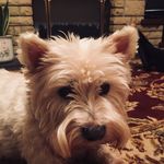 Sarah Mudge - @s.d.mudge - Instagram