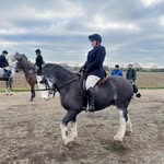 Sarah Mulqueen - @sarahmulqueen73 - Instagram