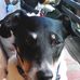 Sarah Mulqueen - Facebook