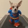 sarahnacke172 - @sarahnacke172 - TikTok
