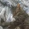 sarahnading - @sm21416 - TikTok