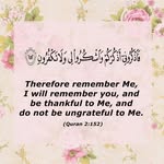 Sarah Naeem - @sarahnaeem_6789 - Instagram