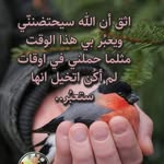 Sarah Naeem - @sarah.naeem.963 - Instagram