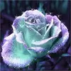 Sarah Md Narayan Muhammad - @sarah.md.narayan - TikTok