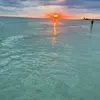 Sarah NationsBrown - @sarah.nationsbrow - TikTok