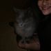 Sarah Neace - Facebook