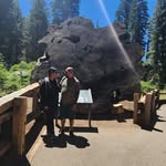 Sarah Nelly - @sarahnells - Instagram