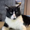 Sarah nicks 😽 - @sarah.nicks12 - TikTok