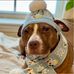 Sarah Northrop - Facebook