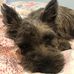 Sarah Nottage - Facebook