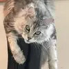 sarah.oberg - @sarah.oberg - TikTok