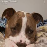 Sarah Olmstead - @sarah.olmstead.927 - Instagram