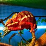 Sarah Ottaway Hampstead - @sarah_ottaway - Instagram