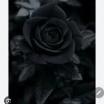Sarah Otten - @sarrah_clgn - Instagram
