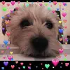 Sara Pardoe - @user74161387 - TikTok