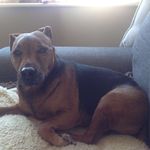Sara Pardoe - @pardoesara - Instagram