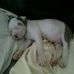 Sarah K Pardue - Facebook