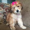 sarahpardue627 - @sarahpardue627 - TikTok