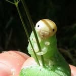 sarah 🐛 - @sarah.parra - Instagram