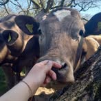 Sarah Patch - Facebook