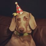 Sarah Patch - @sarahiles73 - Instagram